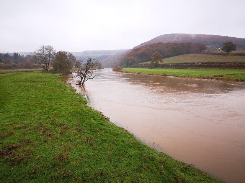 Lower Wye in flood